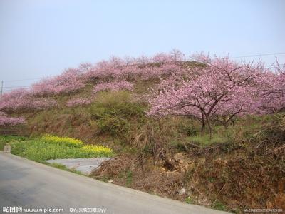 桃园桃园市天气预报_桃园市天气预报一周7天10天15天桃园桃园市天气预报,桃园市天气预报一周7天10天15天