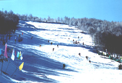 张家口塞北滑雪场天气